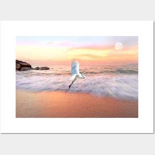 Egret Flies Toward an Ocean Sky Posters and Art